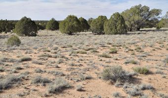176 CR N5549, Concho, AZ 85924