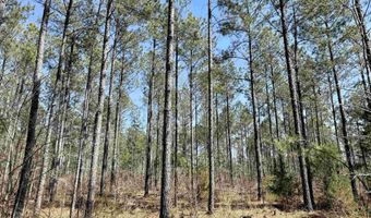 Highway 28, Abbeville, SC 29620