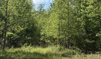 DAVIS Lane, Aroda, VA 22709
