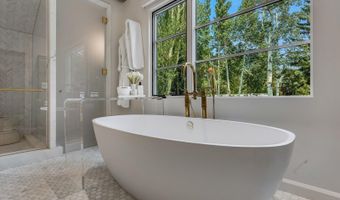 500 W Smuggler St, Aspen, CO 81611