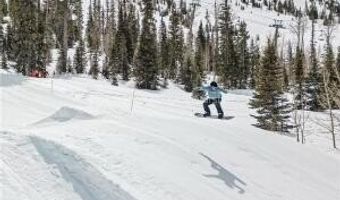 223 Hunter Ridge Rd #B303, Brian Head, UT 84719