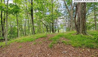 Lot 41 White Fox Lane, Banner Elk, NC 28604