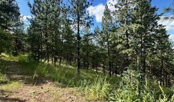 28124 Early Dawn Dr, Big Arm, MT 59910