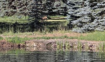201 Golden Forest Rd, Bayfield, CO 81122