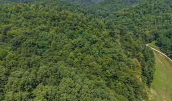 3750 Hunting Creek Rd, Bays, KY 41310