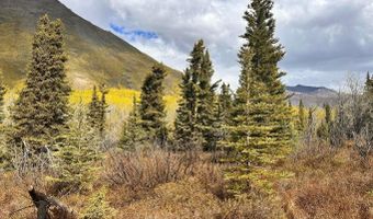 B005 S Packsaddle Road, Chickaloon, AK 99674