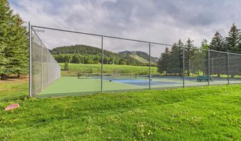 593 Meadowood Dr, Aspen, CO 81611