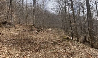 0 TBD Elleber Sods Rd, Bartow, WV 24920