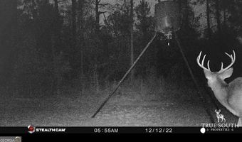 0 John S Horton, Adrian, GA 31002