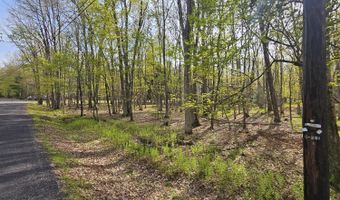 Towamensing Trail & Whitman Lane, Albrightsville, PA 18210