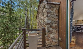 1354 Sierra Vista Dr, Aspen, CO 81611