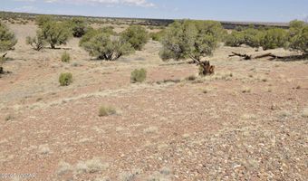 138 Jeff Lake Rd (CR N9230), Concho, AZ 85924