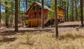 70 County Road 2266, Alpine, AZ 85920