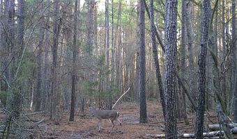0000 Cr-3401, De Kalb, TX 75559