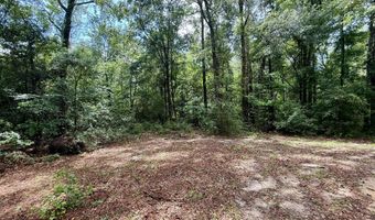 1551 Buckatunna Chicora Clara Rd, Buckatunna, MS 39322