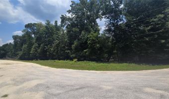 SW 47TH LANE, Bell, FL 32619