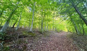 868 Bulger Rd, Alkol, WV 25501