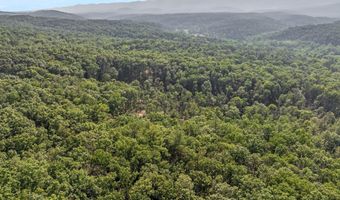 417 MALLARD Dr, Basye, VA 22810