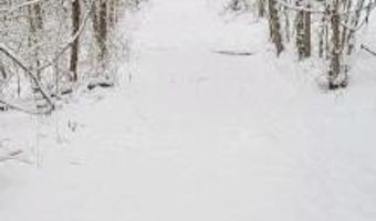 N Fork River Road, Abingdon, VA 24210