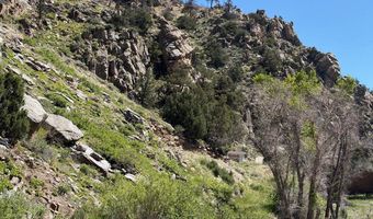 32370 Poudre Canyon Rd, Bellvue, CO 80512