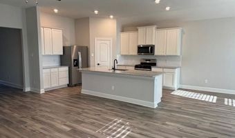 2100 Hardwick Dr, Anna, TX 75409