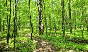 1398 Canada Hollow Rd, Andes, NY 13731