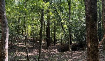 0 Nick Creek Rd, Bernice, LA 71222