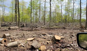 3705 ALEXANDER Rd, Randolph, OH 44201