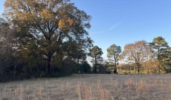 11 Acres RISER MILL ROAD Lot 11 Acres, Alpine, AL 35014