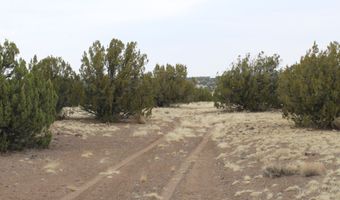 21 County Rd, Concho, AZ 85924