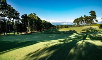 120 Talon Way, Ball Ground, GA 30107