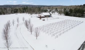 8370 Lakeview Rd, Alanson, MI 49706