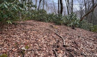 2 13 Acres Big Ridge Rd, Bakersville, NC 28705