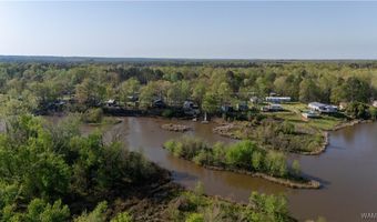2194 Oak Village Rd, Akron, AL 35441