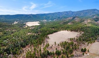 8912 S Pine Dr, Beulah, CO 81023