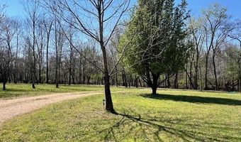 590 TOWBOAT Ln, Adamsville, TN 38310