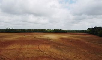 00 County Road 137, Abbeville, AL 36310
