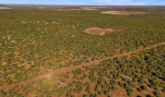 28 CR N8623, Concho, AZ 85924