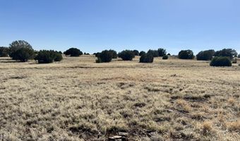 Lot 46 W Rawhide Ranch Road, Ash Fork, AZ 86320