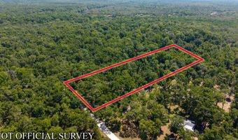 4509 NW 63rd Ter, Bell, FL 32619