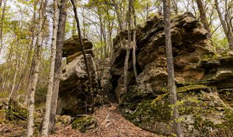 Tbd9999 Wentworth School Road, Beattyville, KY 41311
