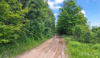 1188 NW S Ross Wells Rd, Arnold, MI 49819