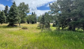 El Camino Real lot 80, Angel Fire, NM 87710