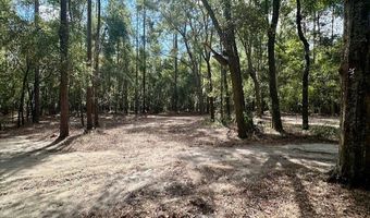 SW 20th St, Bell, FL 32619