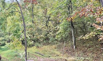 Jesse Run Rd, Arnoldsburg, WV 25234