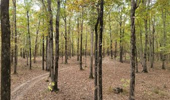 10823 Wyllia Rd, Benton, AR 72019