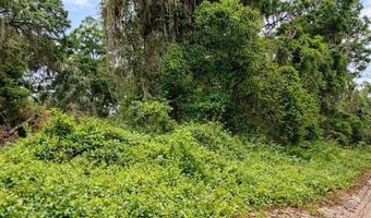 Tbd NE 52ND COURT, Anthony, FL 32617