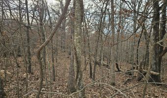 65 Acres Plainview Rd, Anderson, MO 64831