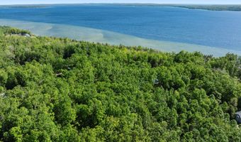 9707 Rogers Rd, Alanson, MI 49706