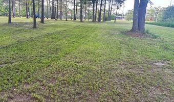 Daisy Lane 1, Andalusia, AL 36420